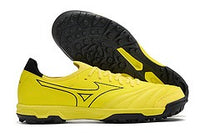 MORELIA NEO SALA β TF