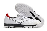 MORELIA NEO SALA β TF