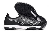 MORELIA NEO SALA β TF