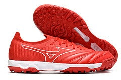 MORELIA NEO SALA β TF